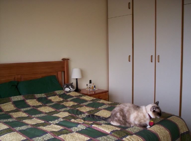 Image 13 of 17  -  111 kB